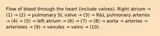 Flow of blood through the heart (include valves). Right atrium → (1) → (2) → pulmonary SL valve → (3) → R&L pulmonary arteries → (4) → (5) → left atrium → (6) → (7) → (8) → aorta → arteries → arterioles → (9) → venules → veins → (10) .