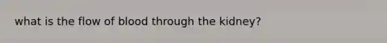 what is the flow of blood through the kidney?