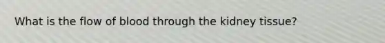 What is the flow of blood through the kidney tissue?