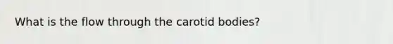 What is the flow through the carotid bodies?