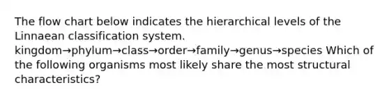 The flow chart below indicates the hierarchical levels of the Linnaean classification system. kingdom→phylum→class→order→family→genus→species Which of the following organisms most likely share the most structural characteristics?