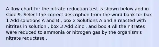 A flow chart for the nitrate reduction test is shown below and in slide 9. Select the correct description from the word bank for box 1 Add solutions A and B , box 2 Solutions A and B reacted with nitrites in solution , box 3 Add Zinc , and box 4 All the nitrates were reduced to ammonia or nitrogen gas by the organism's nitrate reductase .