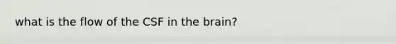 what is the flow of the CSF in the brain?