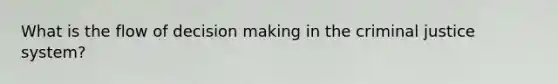 What is the flow of decision making in the criminal justice system?
