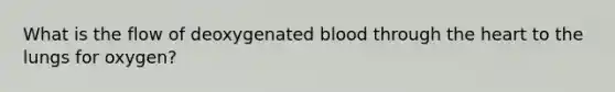 What is the flow of deoxygenated blood through the heart to the lungs for oxygen?