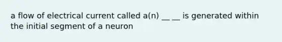 a flow of electrical current called a(n) __ __ is generated within the initial segment of a neuron