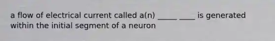 a flow of electrical current called a(n) _____ ____ is generated within the initial segment of a neuron