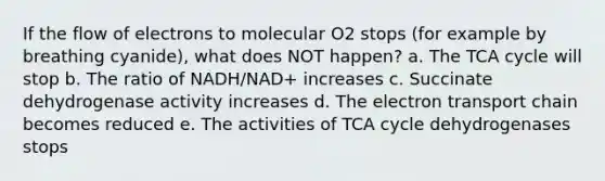 If the flow of electrons to molecular O2 stops (for example by breathing cyanide), what does NOT happen? a. The TCA cycle will stop b. The ratio of NADH/NAD+ increases c. Succinate dehydrogenase activity increases d. The electron transport chain becomes reduced e. The activities of TCA cycle dehydrogenases stops