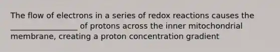 The flow of electrons in a series of redox reactions causes the _________________ of protons across the inner mitochondrial membrane, creating a proton concentration gradient