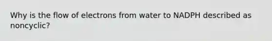 Why is the flow of electrons from water to NADPH described as noncyclic?