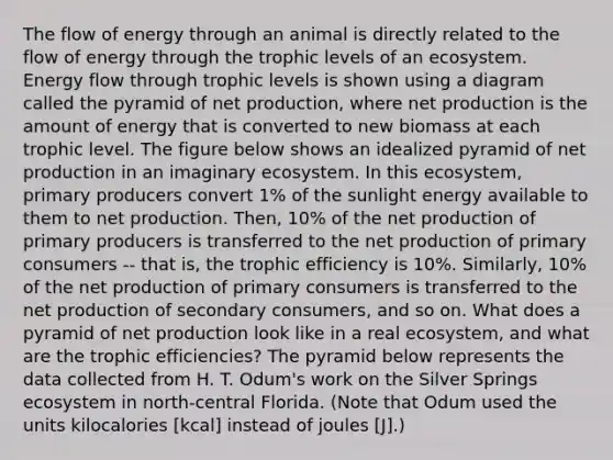 The flow of energy through an animal is directly related to the flow of energy through the trophic levels of an ecosystem. Energy flow through trophic levels is shown using a diagram called the pyramid of net production, where net production is the amount of energy that is converted to new biomass at each trophic level. The figure below shows an idealized pyramid of net production in an imaginary ecosystem. In this ecosystem, primary producers convert 1% of the sunlight energy available to them to net production. Then, 10% of the net production of primary producers is transferred to the net production of primary consumers -- that is, the trophic efficiency is 10%. Similarly, 10% of the net production of primary consumers is transferred to the net production of secondary consumers, and so on. What does a pyramid of net production look like in a real ecosystem, and what are the trophic efficiencies? The pyramid below represents the data collected from H. T. Odum's work on the Silver Springs ecosystem in north-central Florida. (Note that Odum used the units kilocalories [kcal] instead of joules [J].)