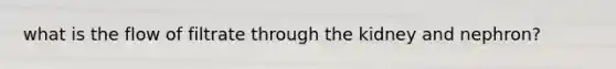 what is the flow of filtrate through the kidney and nephron?
