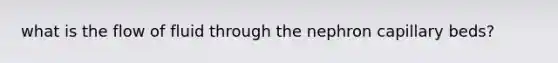 what is the flow of fluid through the nephron capillary beds?