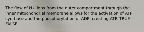 The flow of H+ ions from the outer compartment through the inner mitochondrial membrane allows for the activation of ATP synthase and the phosphorylation of ADP, creating ATP. TRUE FALSE