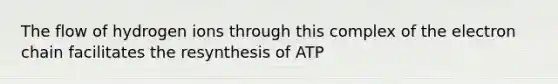 The flow of hydrogen ions through this complex of the electron chain facilitates the resynthesis of ATP