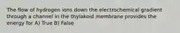 The flow of hydrogen ions down the electrochemical gradient through a channel in the thylakoid membrane provides the energy for A) True B) False