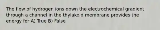 The flow of hydrogen ions down the electrochemical gradient through a channel in the thylakoid membrane provides the energy for A) True B) False