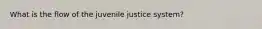 What is the flow of the juvenile justice system?