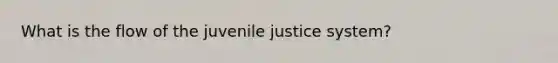 What is the flow of the juvenile justice system?