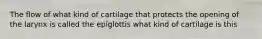 The flow of what kind of cartilage that protects the opening of the larynx is called the epiglottis what kind of cartilage is this