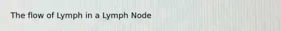 The flow of Lymph in a Lymph Node