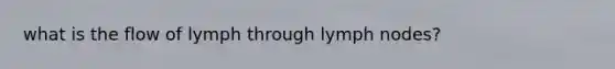 what is the flow of lymph through lymph nodes?