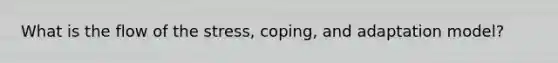 What is the flow of the stress, coping, and adaptation model?