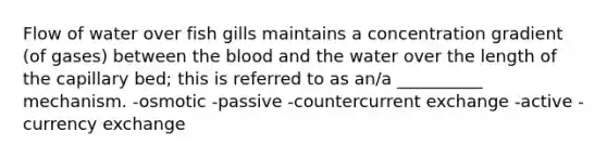 Flow of water over fish gills maintains a concentration gradient (of gases) between the blood and the water over the length of the capillary bed; this is referred to as an/a __________ mechanism. -osmotic -passive -countercurrent exchange -active -currency exchange