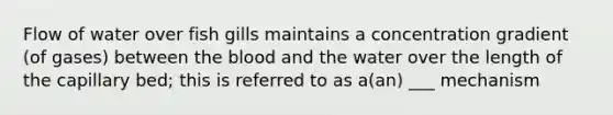 Flow of water over fish gills maintains a concentration gradient (of gases) between the blood and the water over the length of the capillary bed; this is referred to as a(an) ___ mechanism