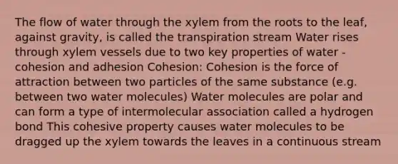 The flow of water through the xylem from the roots to the leaf, against gravity, is called the transpiration stream Water rises through xylem vessels due to two key properties of water - cohesion and adhesion Cohesion: Cohesion is the force of attraction between two particles of the same substance (e.g. between two water molecules) Water molecules are polar and can form a type of intermolecular association called a hydrogen bond This cohesive property causes water molecules to be dragged up the xylem towards the leaves in a continuous stream