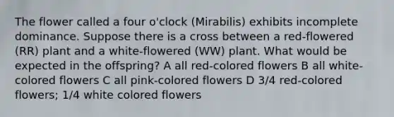 The flower called a four o'clock (Mirabilis) exhibits incomplete dominance. Suppose there is a cross between a red-flowered (RR) plant and a white-flowered (WW) plant. What would be expected in the offspring? A all red-colored flowers B all white-colored flowers C all pink-colored flowers D 3/4 red-colored flowers; 1/4 white colored flowers