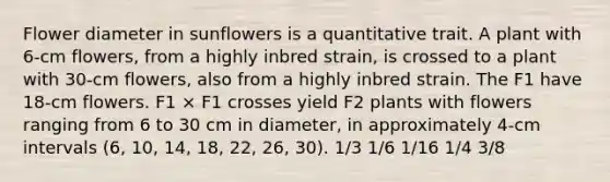 Flower diameter in sunflowers is a quantitative trait. A plant with 6-cm flowers, from a highly inbred strain, is crossed to a plant with 30-cm flowers, also from a highly inbred strain. The F1 have 18-cm flowers. F1 × F1 crosses yield F2 plants with flowers ranging from 6 to 30 cm in diameter, in approximately 4-cm intervals (6, 10, 14, 18, 22, 26, 30). 1/3 1/6 1/16 1/4 3/8