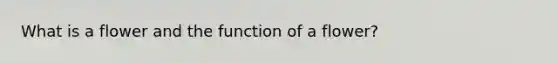 What is a flower and the function of a flower?