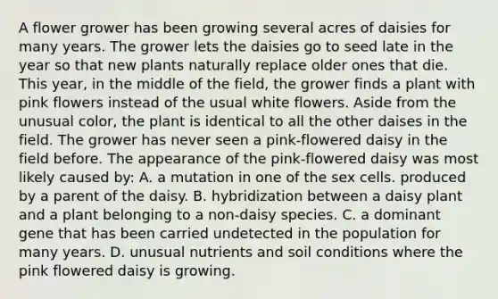 A flower grower has been growing several acres of daisies for many years. The grower lets the daisies go to seed late in the year so that new plants naturally replace older ones that die. This year, in the middle of the field, the grower finds a plant with pink flowers instead of the usual white flowers. Aside from the unusual color, the plant is identical to all the other daises in the field. The grower has never seen a pink-flowered daisy in the field before. The appearance of the pink-flowered daisy was most likely caused by: A. a mutation in one of the sex cells. produced by a parent of the daisy. B. hybridization between a daisy plant and a plant belonging to a non-daisy species. C. a dominant gene that has been carried undetected in the population for many years. D. unusual nutrients and soil conditions where the pink flowered daisy is growing.