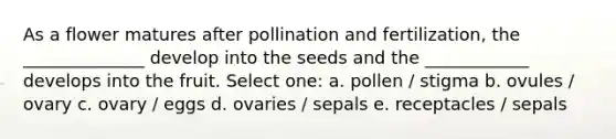 As a flower matures after pollination and fertilization, the ______________ develop into the seeds and the ____________ develops into the fruit. Select one: a. pollen / stigma b. ovules / ovary c. ovary / eggs d. ovaries / sepals e. receptacles / sepals