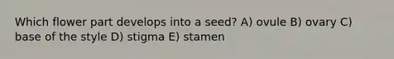 Which flower part develops into a seed? A) ovule B) ovary C) base of the style D) stigma E) stamen