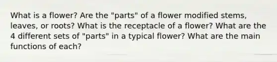 What is a flower? Are the "parts" of a flower modified stems, leaves, or roots? What is the receptacle of a flower? What are the 4 different sets of "parts" in a typical flower? What are the main functions of each?