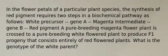 In the flower petals of a particular plant species, the synthesis of red pigment requires two steps in a biochemical pathway as follows: White precursor -- gene A -- Magenta Intermediate -- gene B -- Red pigment A pure-breeding magenta flower plant is crossed to a pure-breeding white flowered plant to produce F1 progeny that consists entirely of red flowered plants. What is the genotype of the white parent?