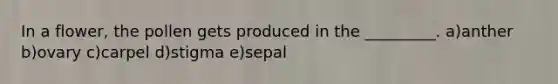 In a flower, the pollen gets produced in the _________. a)anther b)ovary c)carpel d)stigma e)sepal