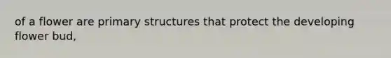 of a flower are <a href='https://www.questionai.com/knowledge/knHR7ecP3u-primary-structure' class='anchor-knowledge'>primary structure</a>s that protect the developing flower bud,