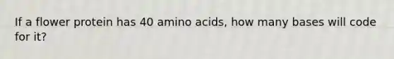 If a flower protein has 40 amino acids, how many bases will code for it?