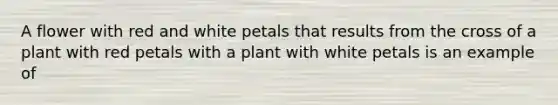 A flower with red and white petals that results from the cross of a plant with red petals with a plant with white petals is an example of