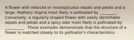 A flower with reduced or inconspicuous sepals and petals and a large, feathery stigma most likely is pollinated by _________. Conversely, a regularly-shaped flower with easily identifiable sepals and petals and a spicy odor most likely is pollinated by __________ . These examples demonstrate that the structure of a flower is matched closely to its pollinator's characteristics.