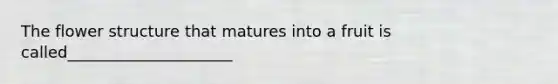 The flower structure that matures into a fruit is called_____________________