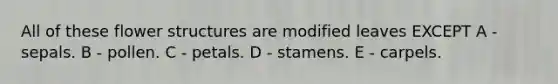 All of these flower structures are modified leaves EXCEPT A - sepals. B - pollen. C - petals. D - stamens. E - carpels.