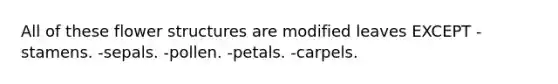 All of these flower structures are modified leaves EXCEPT -stamens. -sepals. -pollen. -petals. -carpels.