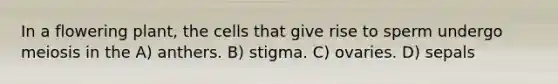In a flowering plant, the cells that give rise to sperm undergo meiosis in the A) anthers. B) stigma. C) ovaries. D) sepals