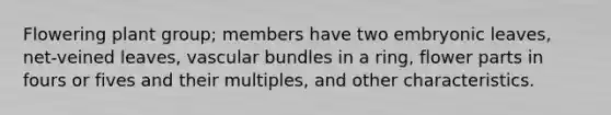 Flowering plant group; members have two embryonic leaves, net-veined leaves, vascular bundles in a ring, flower parts in fours or fives and their multiples, and other characteristics.