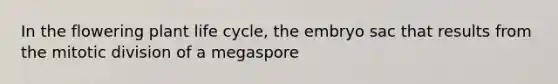 In the flowering plant life cycle, the embryo sac that results from the mitotic division of a megaspore