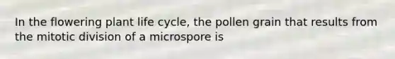 In the flowering plant life cycle, the pollen grain that results from the mitotic division of a microspore is